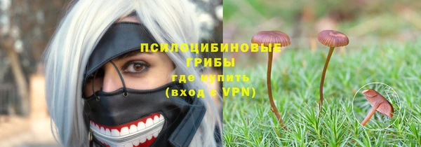 apvp Абаза